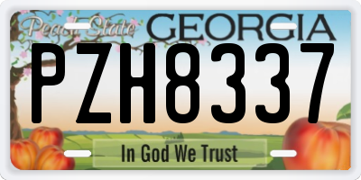 GA license plate PZH8337