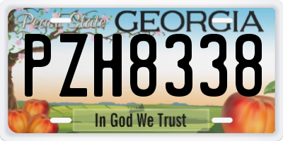 GA license plate PZH8338