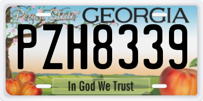 GA license plate PZH8339