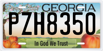 GA license plate PZH8350