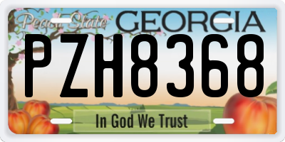 GA license plate PZH8368