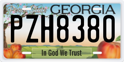 GA license plate PZH8380