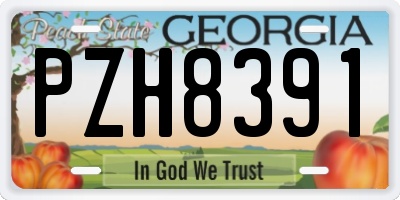 GA license plate PZH8391