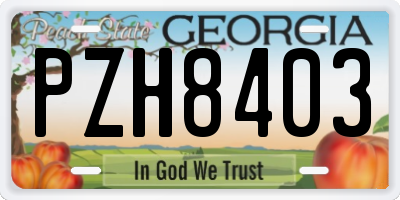 GA license plate PZH8403