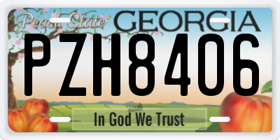 GA license plate PZH8406