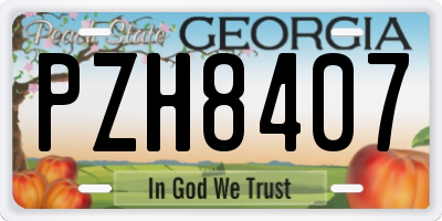 GA license plate PZH8407