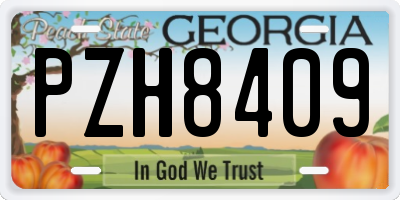 GA license plate PZH8409