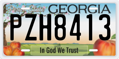 GA license plate PZH8413