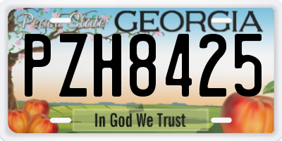 GA license plate PZH8425