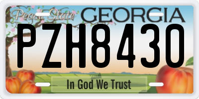 GA license plate PZH8430