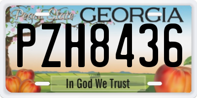 GA license plate PZH8436