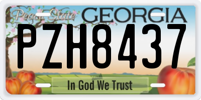 GA license plate PZH8437