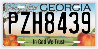 GA license plate PZH8439