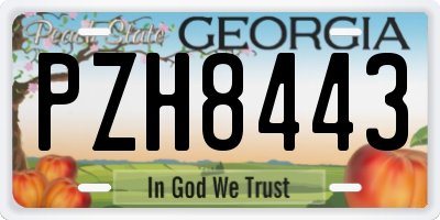 GA license plate PZH8443