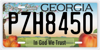 GA license plate PZH8450