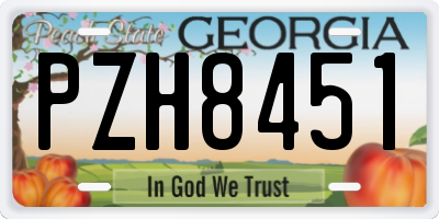 GA license plate PZH8451