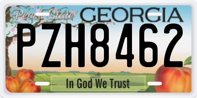 GA license plate PZH8462