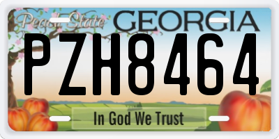 GA license plate PZH8464