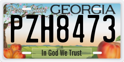 GA license plate PZH8473