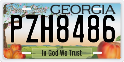 GA license plate PZH8486