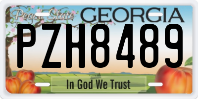 GA license plate PZH8489