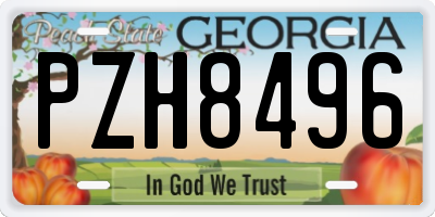 GA license plate PZH8496