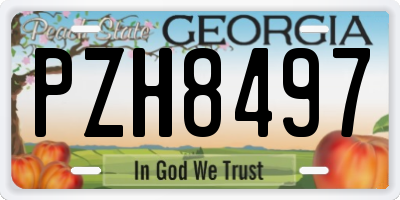 GA license plate PZH8497