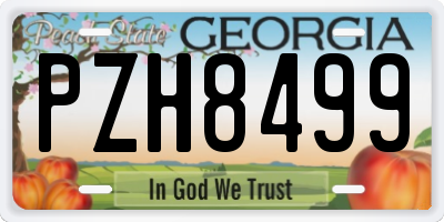 GA license plate PZH8499
