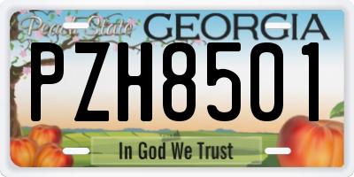 GA license plate PZH8501