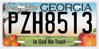 GA license plate PZH8513