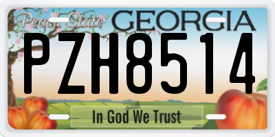 GA license plate PZH8514