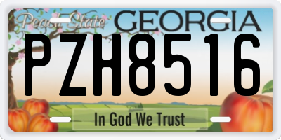 GA license plate PZH8516