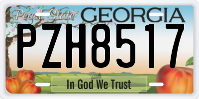 GA license plate PZH8517