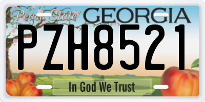 GA license plate PZH8521