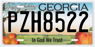 GA license plate PZH8522