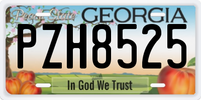 GA license plate PZH8525