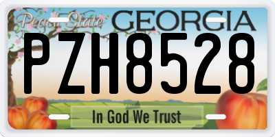 GA license plate PZH8528