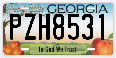 GA license plate PZH8531
