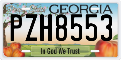 GA license plate PZH8553