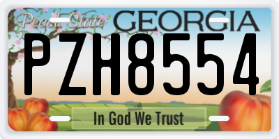 GA license plate PZH8554