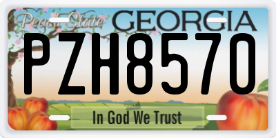 GA license plate PZH8570