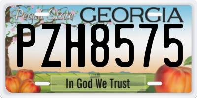 GA license plate PZH8575