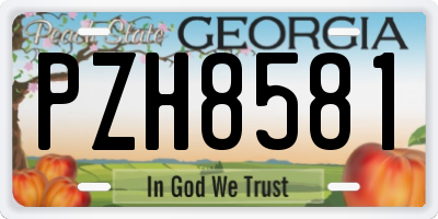 GA license plate PZH8581