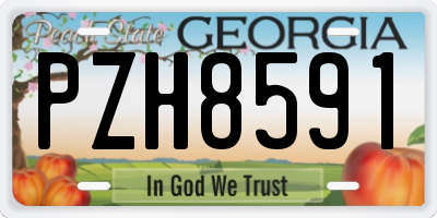 GA license plate PZH8591