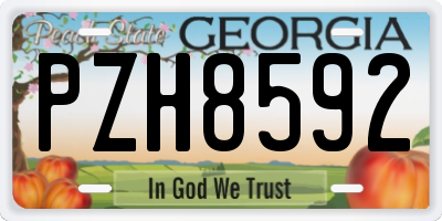 GA license plate PZH8592