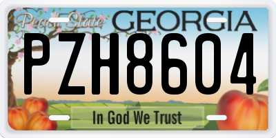 GA license plate PZH8604