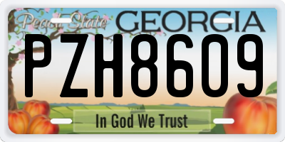 GA license plate PZH8609