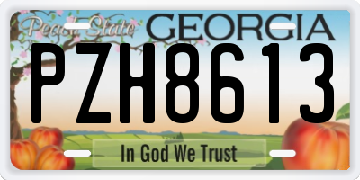GA license plate PZH8613