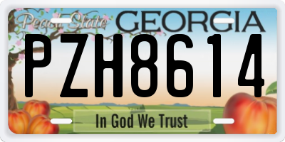 GA license plate PZH8614