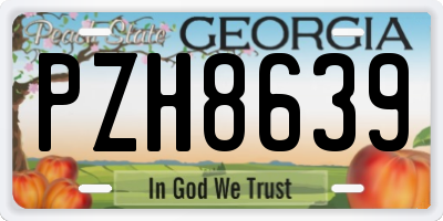 GA license plate PZH8639